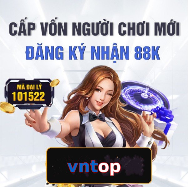 vntop