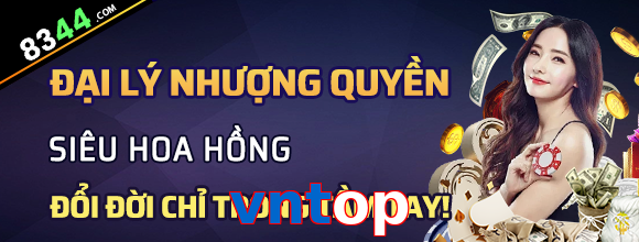 vntop
