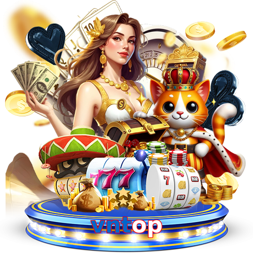 vntop
