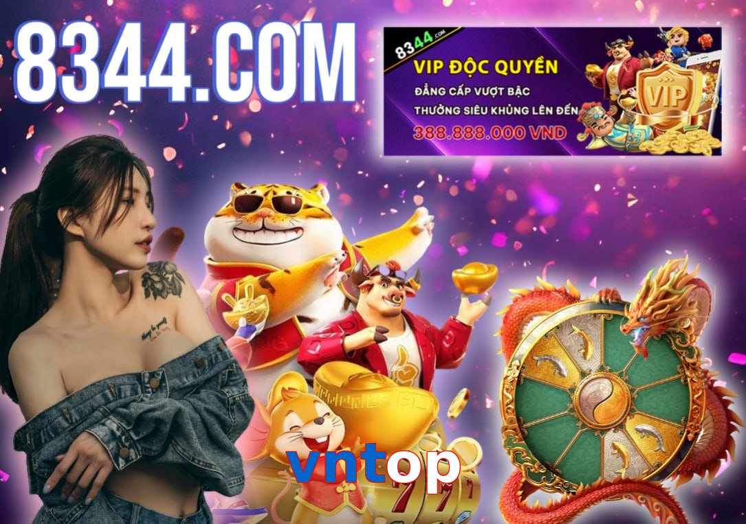 vntop